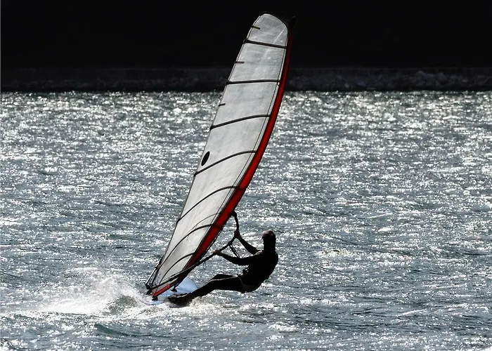 Daire Christine Pertisau